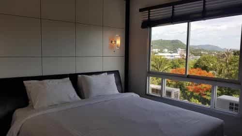 FLAME TREE SUITE