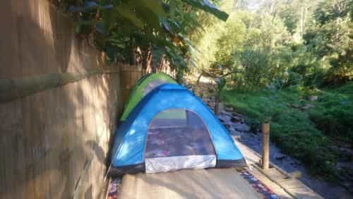Chiangrai Banana Home Chiangrai Banana Home