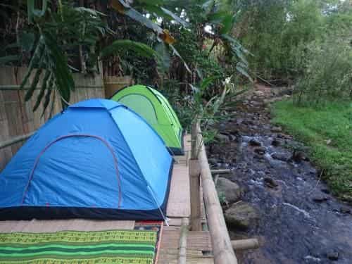 Chiangrai Banana Home Chiangrai Banana Home