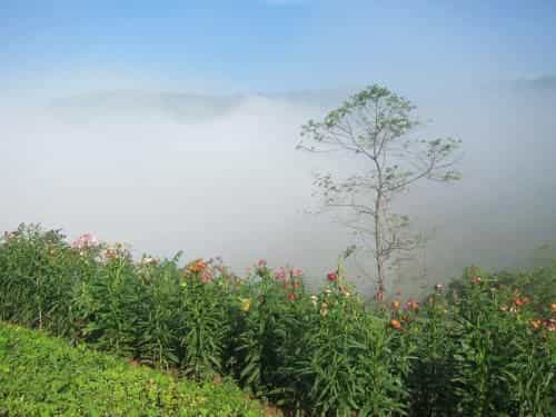 Phupassadee Resort