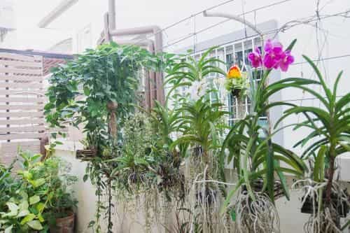 Thakorn Homestay