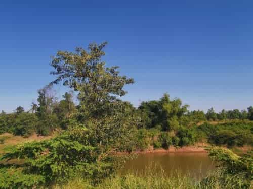 Wang Wern Resort Wang Wern Resort