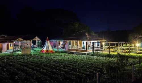 Chiang Dao Story Camp