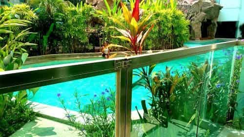 Amazon Residence Apartments