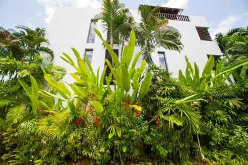 Tastefully Decorated 2 BR Penthouse