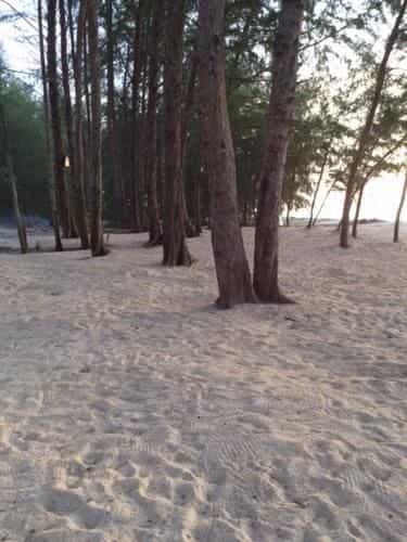 Kho Khao River Sand Eco Resort on the Beach Kho Khao River Sand Eco Resort on the Beach