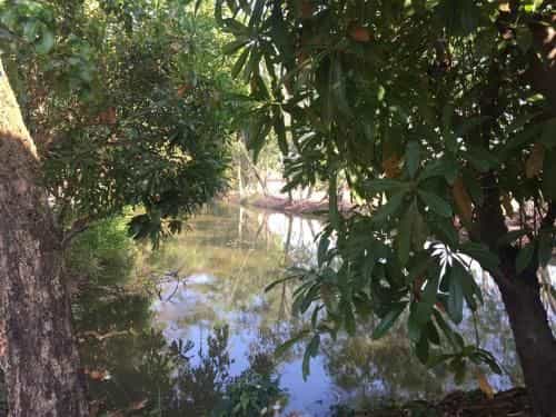Meena Resort