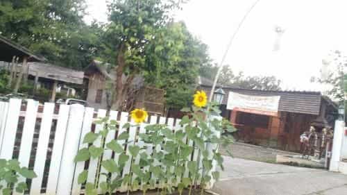Maeloegyi Guest House