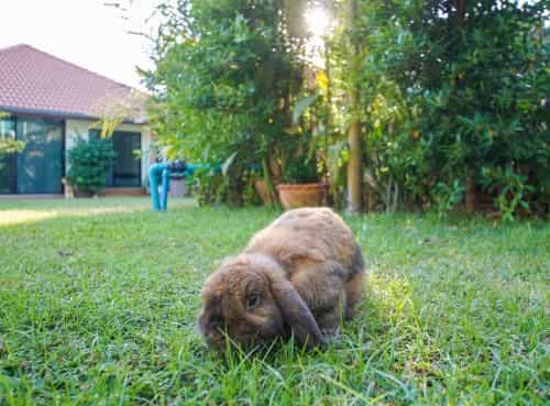 Tina's Living Paradise