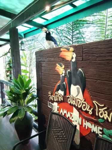 Little Amazon Home