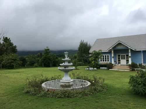 Misty English Cottage Misty English Cottage