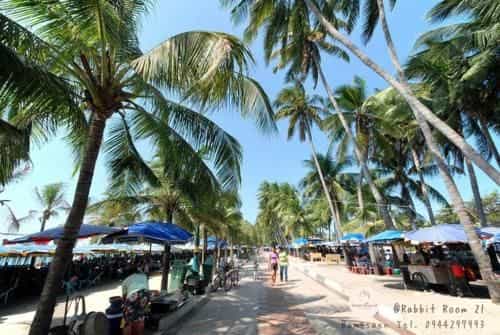 Rabbit Room 21 @Bangsaen Beach S48