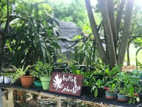 Suksamer Relaxation Homestay Suksamer Relaxation Homestay