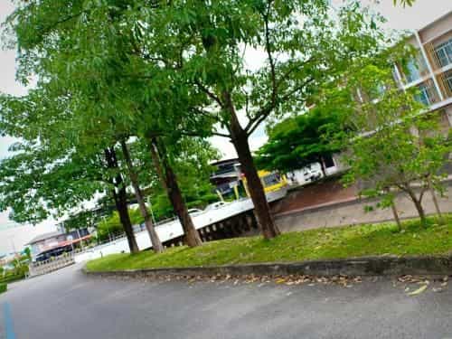 Home At Hatyai