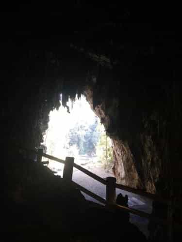 Ice homestay