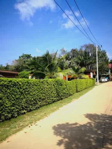 Weixiao Lanta Resort