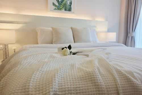 The Astra Condo Chiang Mai - A1120
