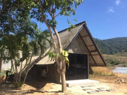 Cashew Nut Tree Bungalows