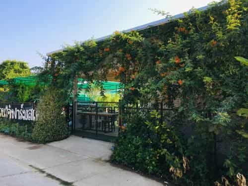 MJ Organic Farmstay MJ Organic Farmstay