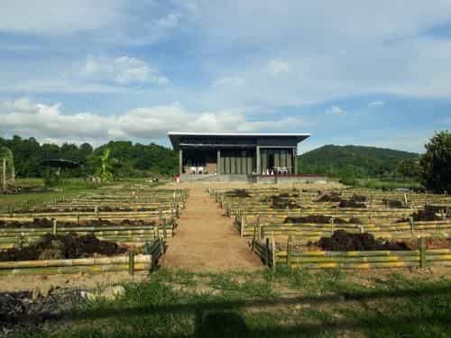 MJ Organic Farmstay MJ Organic Farmstay