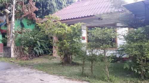Village House Chat 1