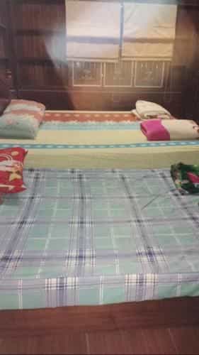 3 P Homestay 3 P Homestay