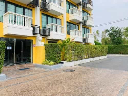 Signature Apartment Pattaya Panda Color