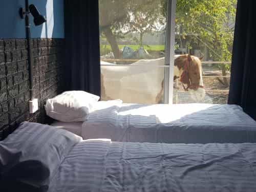 RODEO HOUSE BKK