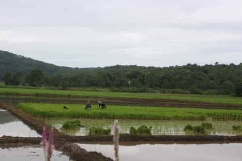 Kham Ecolodge Kham Ecolodge