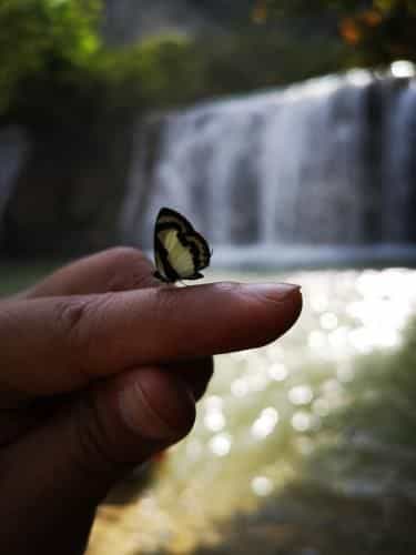 VELA Sustainable Living