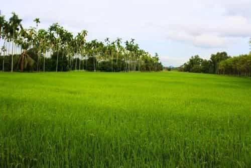 Stay In love homestay Stay In love homestay