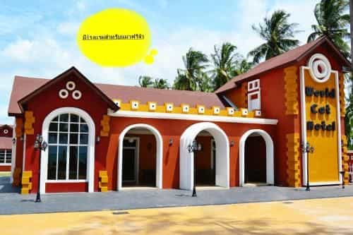 World Cat Hotel & Resort