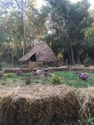 Vegan Town Lampang Vegan Town Lampang