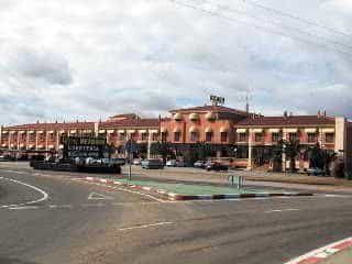 Acosta Vetonia