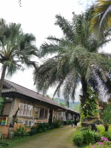 Homynorth - เฮือนเหนือรีสอร์ท Homynorth - เฮือนเหนือรีสอร์ท