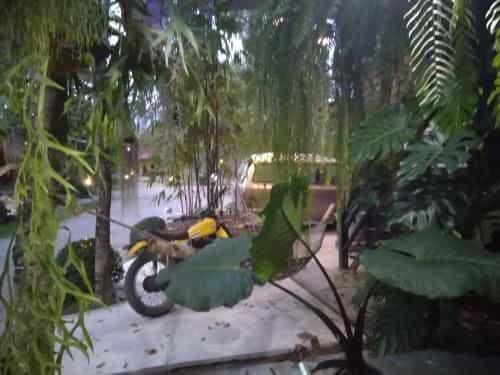 บ้านกู โฮมสเตย์ Baangu homestay บ้านกู โฮมสเตย์ Baangu homestay