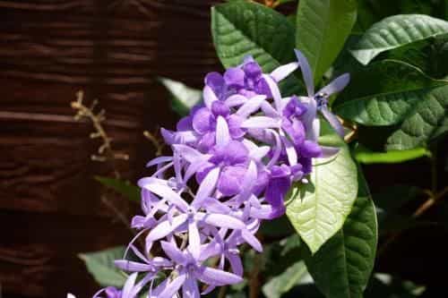 Pattarakarn Homestay Pattarakarn Homestay
