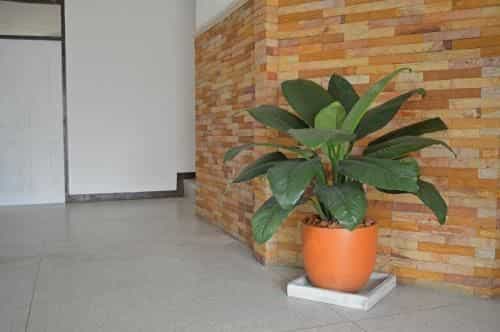 The Next Door Hostel