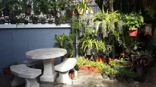 Private luxury garden villa in the city center near the beach (only 150 meters)