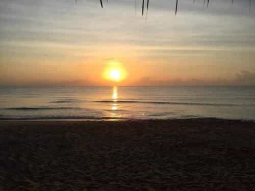 SUNRISE BUNGALOW BANKRUT