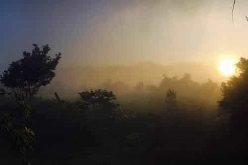 The Lookout Pai The Lookout Pai