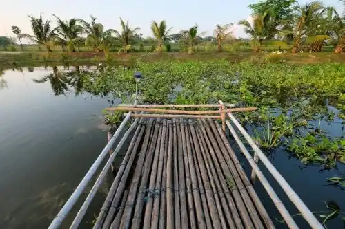 Mai Nam Farm Mai Nam Farm