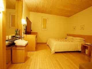 ANA Hotel