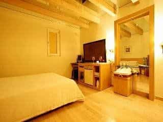 ANA Hotel