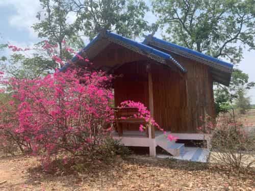 Mountain View Guesthouse Mountain View Guesthouse
