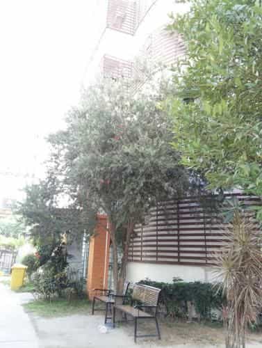 BaanBaan Homestay