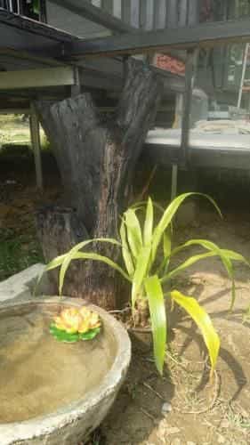 Pun Tang Resort Chiangrai Pun Tang Resort Chiangrai