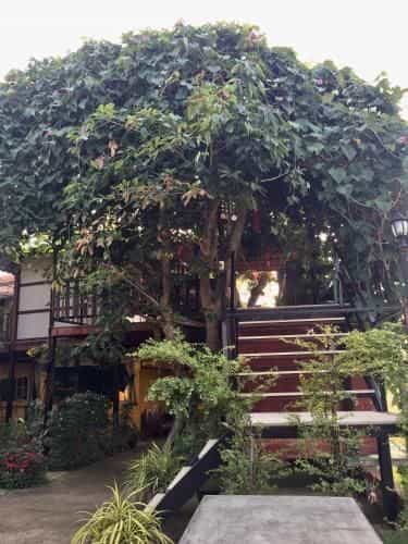 ซิกซ์ เนเจอร์ รีสอร์ท