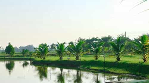 Baansuan Rimthan