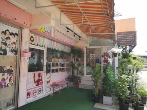 BunnyNap Hostel BunnyNap Hostel